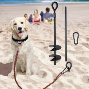 beach dog stake